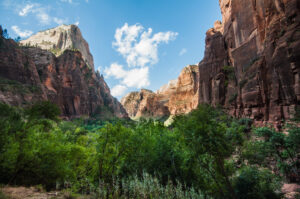 Zion Canyon from the valley floor