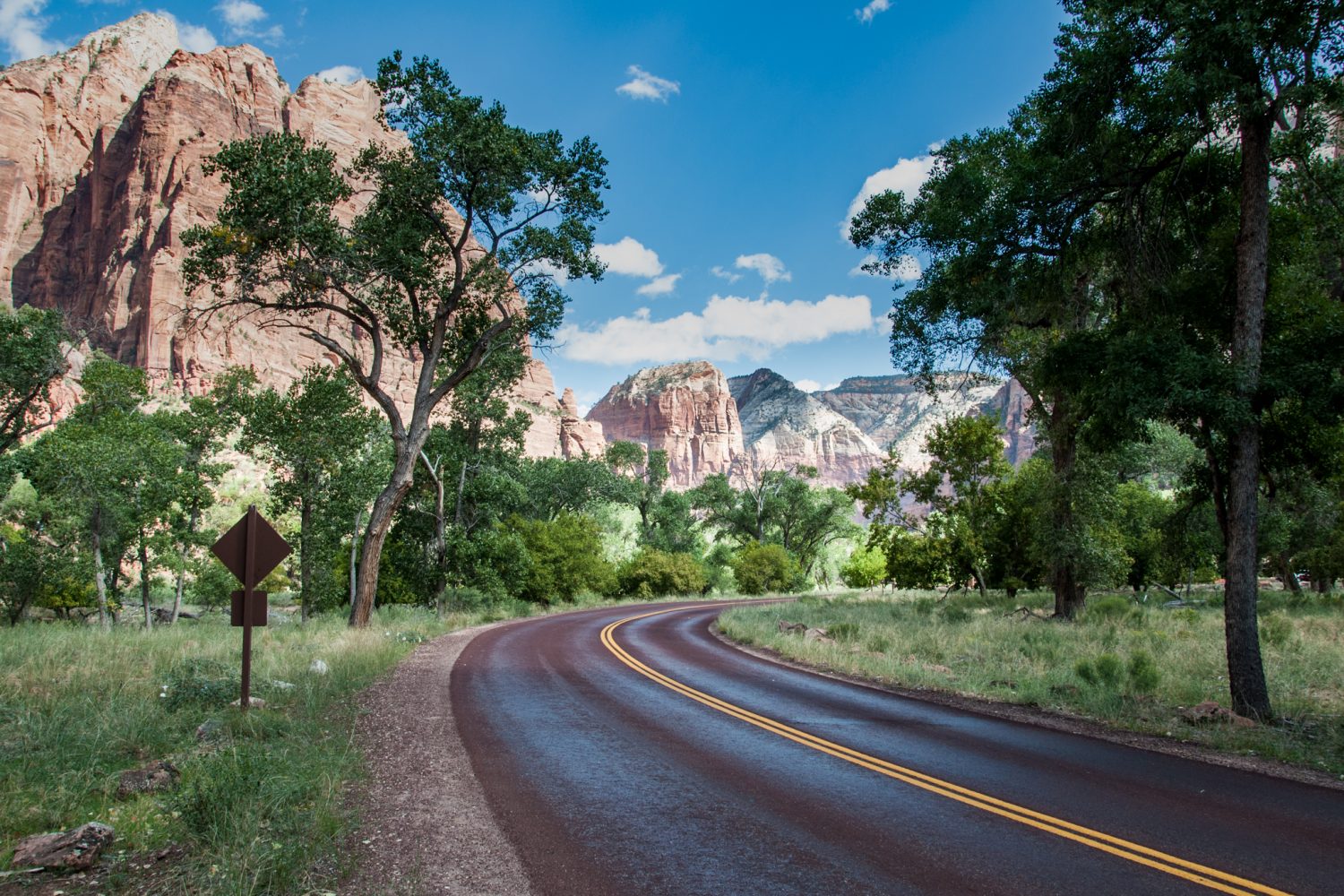 Zion Canyon Scenic Drive with the canyon's high peaks in the background in Zion National Park