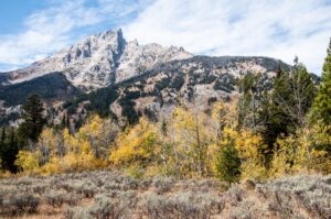 Autumn Colours and the first snows in Grand Teton National Park, Wyoming, USA