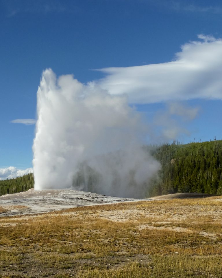 Old Faithful geysir in Yellowstone National Park in Wyoming erupts regularly around every 90 minutes