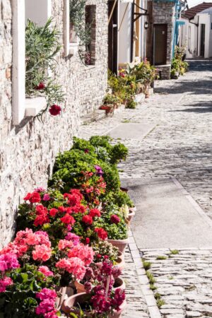 Quiet side street with flowers in the moutain village of Lefkara in Cyprus
