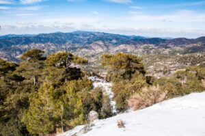Snow lies on the ground in January in the Troodos mountains, Cyprus