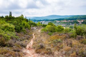 Typical rural landscape of Zakynthos