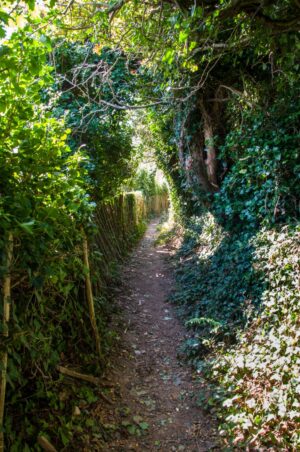 This narrow country path makes its way up from the beach at Gorey