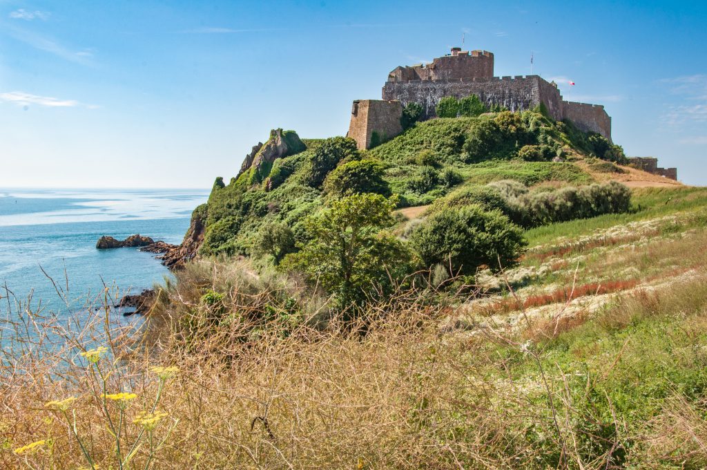 Wild flowers in the foreground with Mont Orgueil Castle in the background sitting  on the clifftop