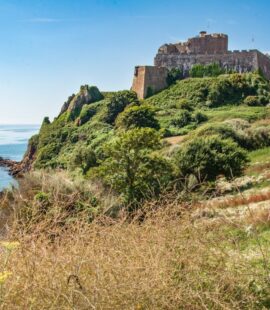 Wild flowers in the foreground with Mont Orgueil Castle in the background sitting  on the clifftop