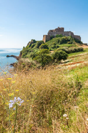 Wild flowers in the foreground with Mont Orgueil Castle in the background sitting  on the clifftop
