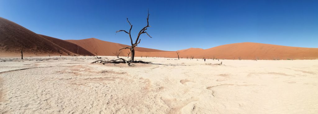 Deadvlei was created during periods when the Tsaugab river flooded