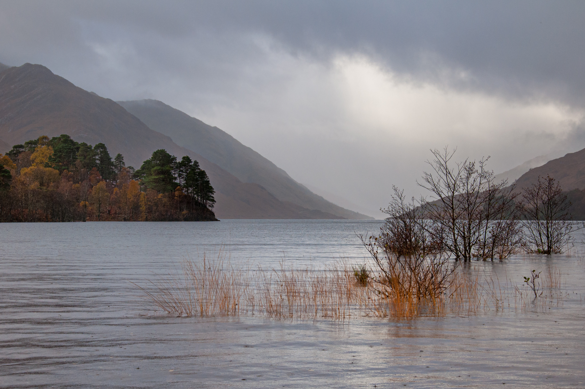 Trees lie submerged in Loch Shiel after heavy rain
